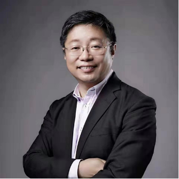 Professor Robert Lee